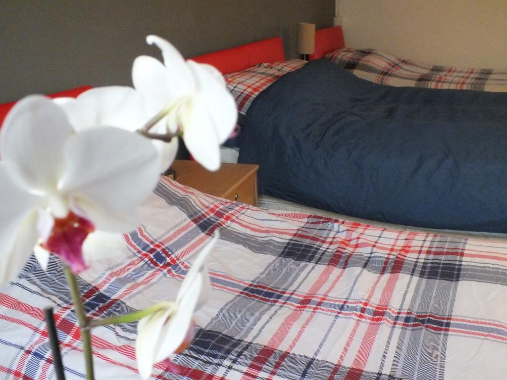 Bonna'S Bed And Breakfast Builth Wells Exterior foto